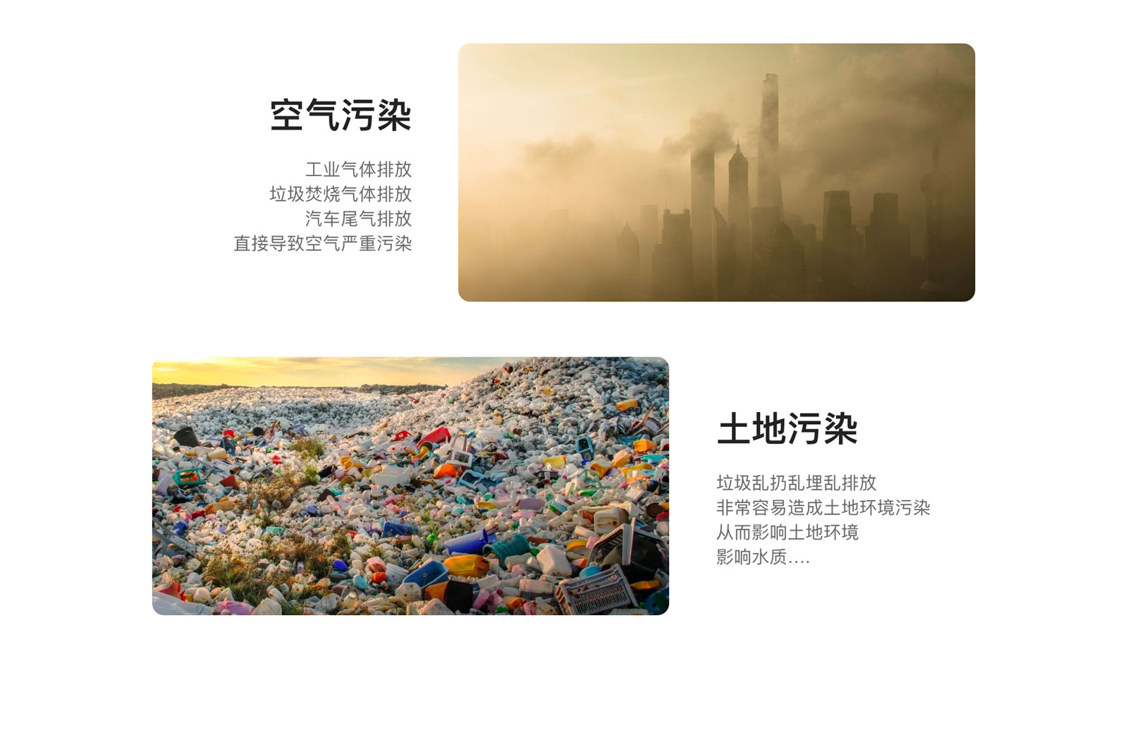 小黃狗